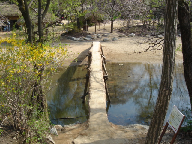 f0091590_3105019.jpg