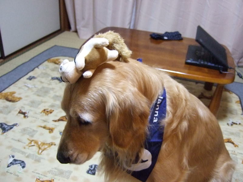 c0104492_15245932.jpg