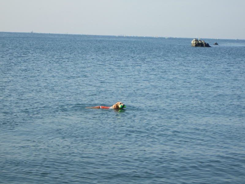 c0104492_1645312.jpg