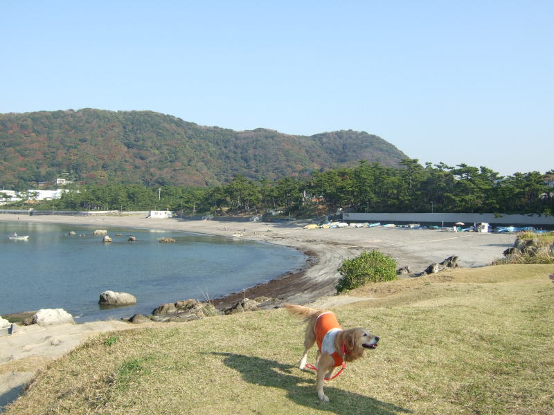 c0104492_1653554.jpg