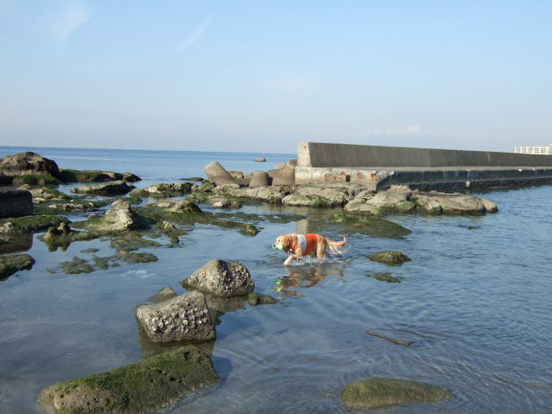 c0104492_1681623.jpg