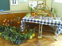 f0008692_21105179.jpg