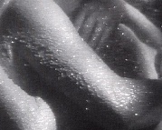 b0045698_754166.jpg