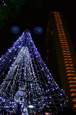 b0105199_3283082.jpg