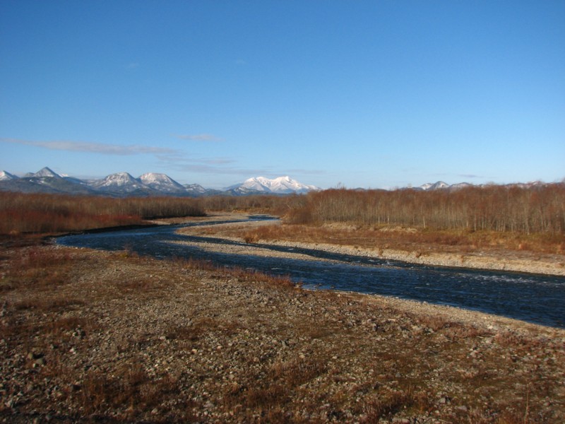 f0020302_183552.jpg