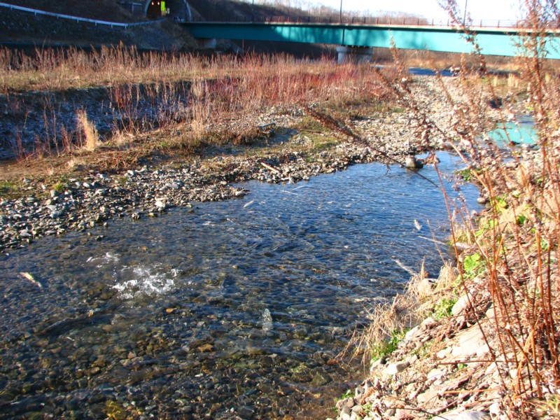 f0020302_18395045.jpg