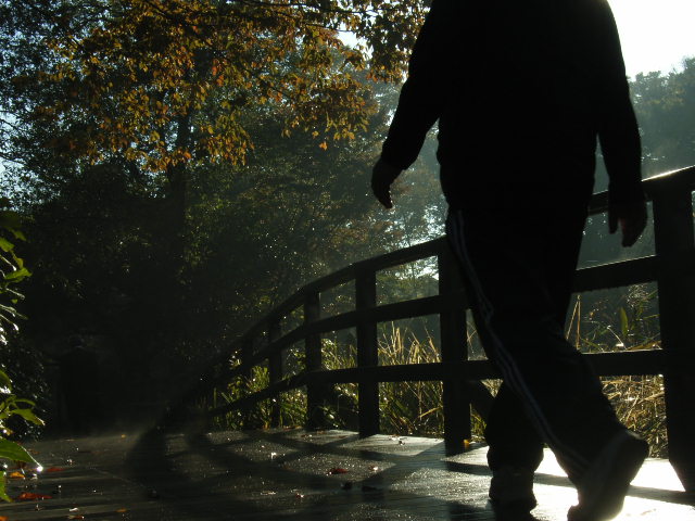 d0039803_1128499.jpg