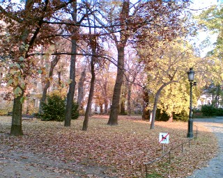 f0021504_365132.jpg