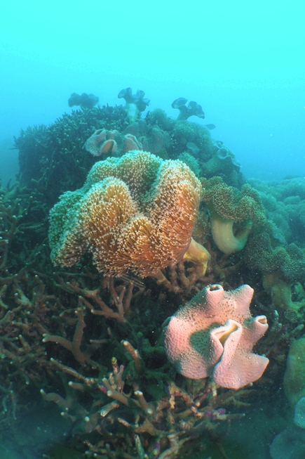 a0082706_11345918.jpg
