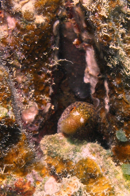 a0082706_14342943.jpg