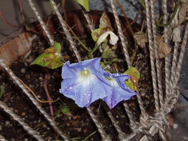 c0086014_21522710.jpg