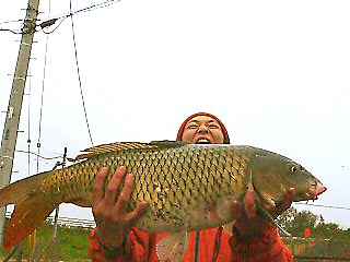 a0049715_2362223.jpg