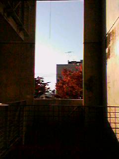 e0095715_15125536.jpg