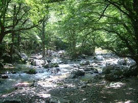 e0002820_1701528.jpg