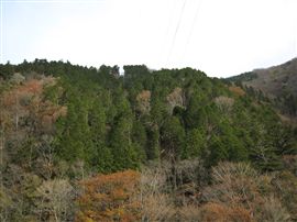 e0002820_1720522.jpg