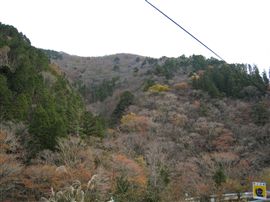 e0002820_17254771.jpg