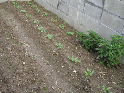 f0041021_13124585.jpg
