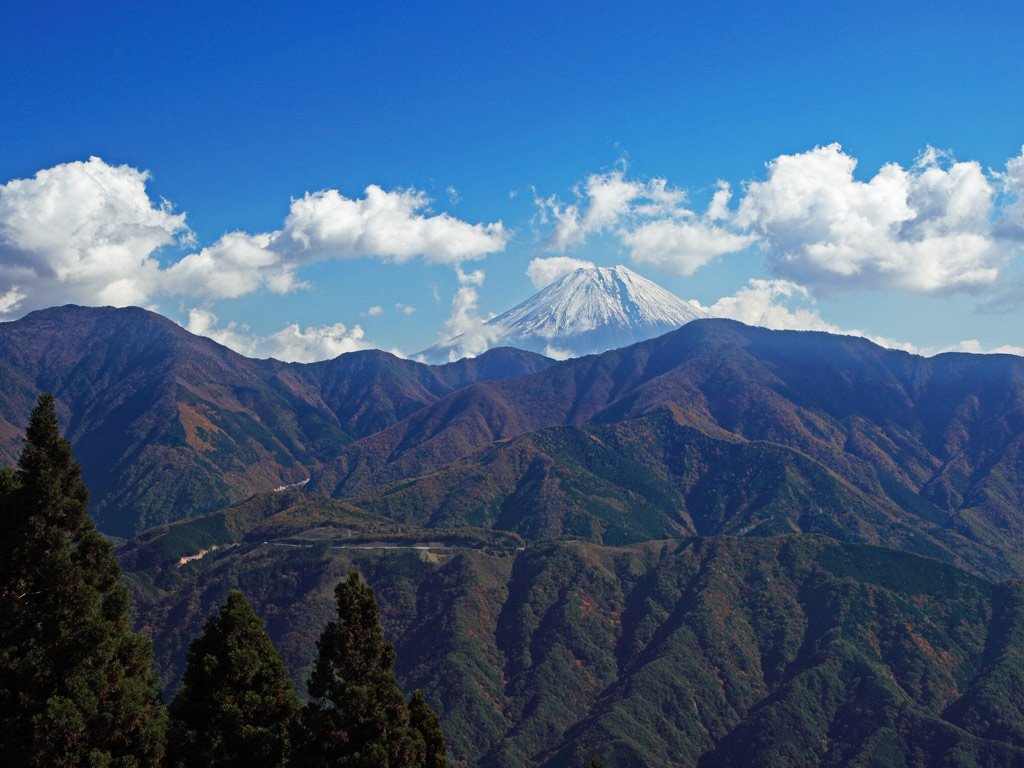 f0035323_872183.jpg