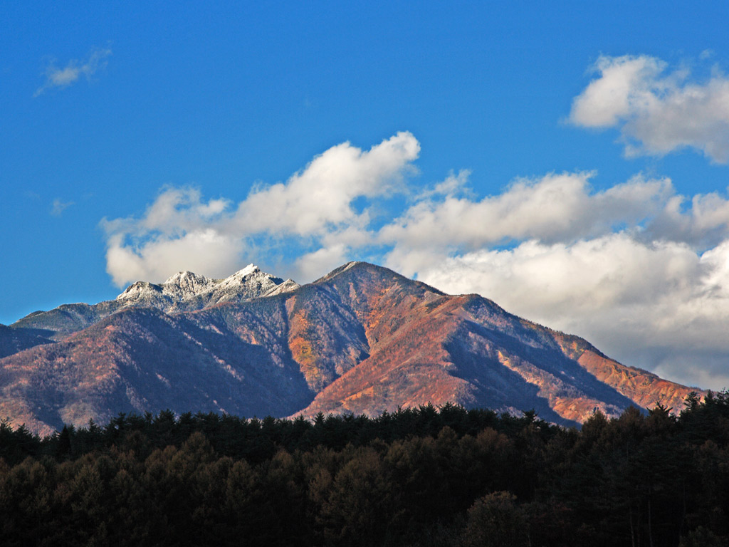 f0035323_884916.jpg