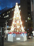 e0094325_2313386.jpg