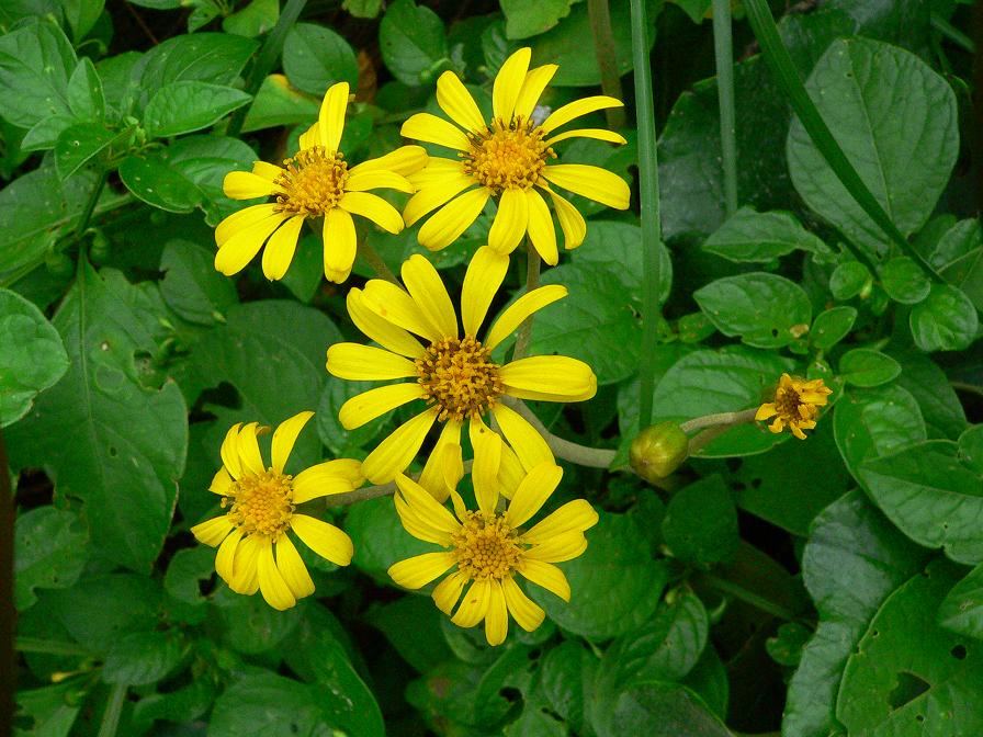 d0053930_84498.jpg