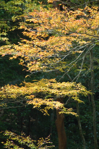 d0052442_849493.jpg