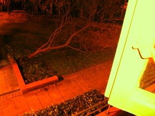 e0018350_834080.jpg