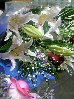 d0094056_14535896.jpg