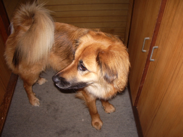 f0034156_14102775.jpg