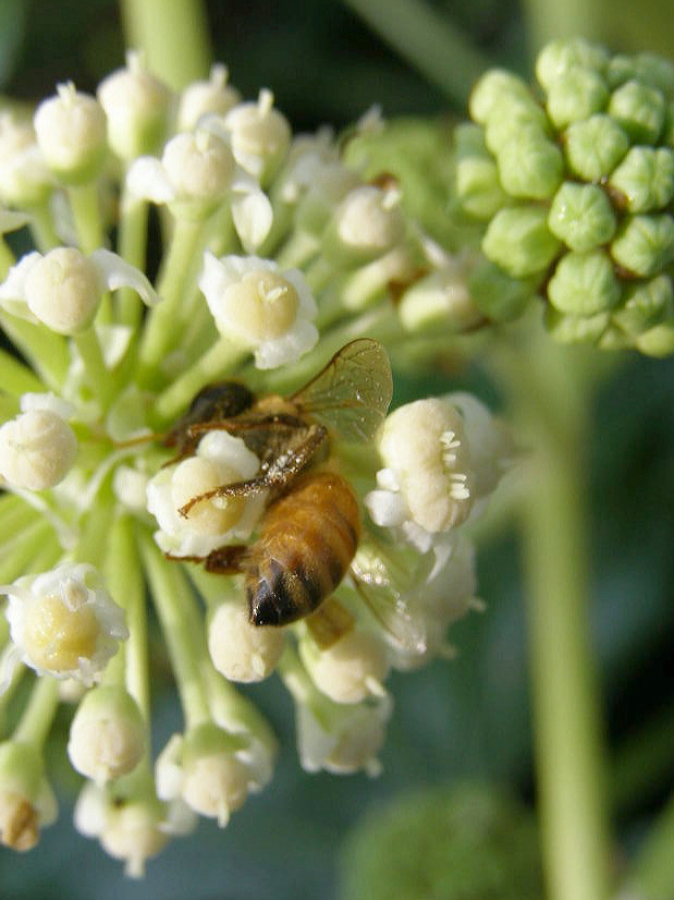 e0064158_075776.jpg