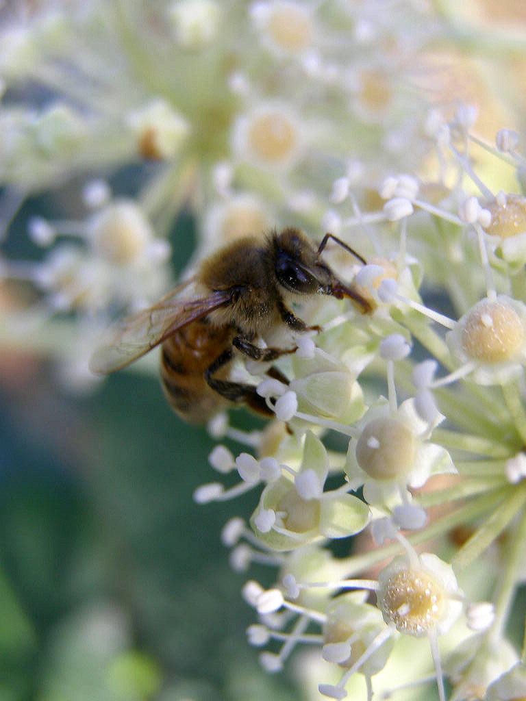 e0064158_083196.jpg