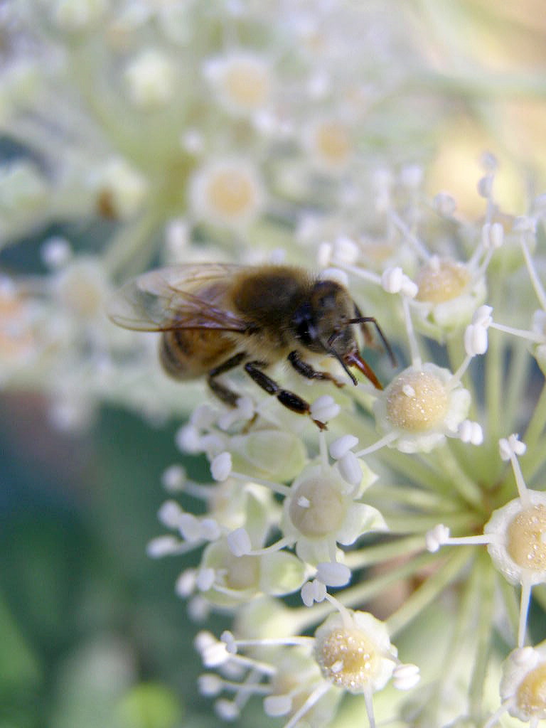 e0064158_084498.jpg