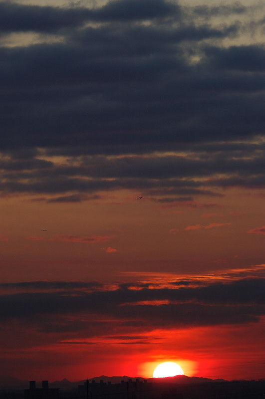 c0084666_22242565.jpg