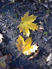 f0032969_196431.jpg
