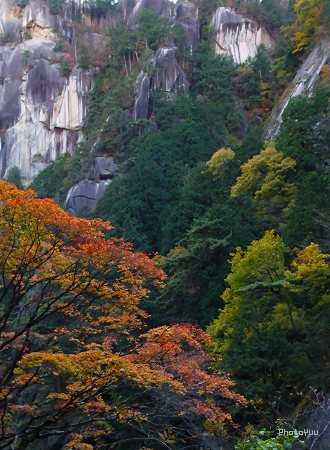 b0078874_1865099.jpg