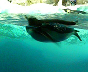 c0066080_0285576.jpg