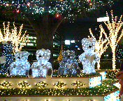c0066080_0315370.jpg