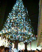 c0066080_0324388.jpg
