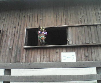 d0056881_0144990.jpg