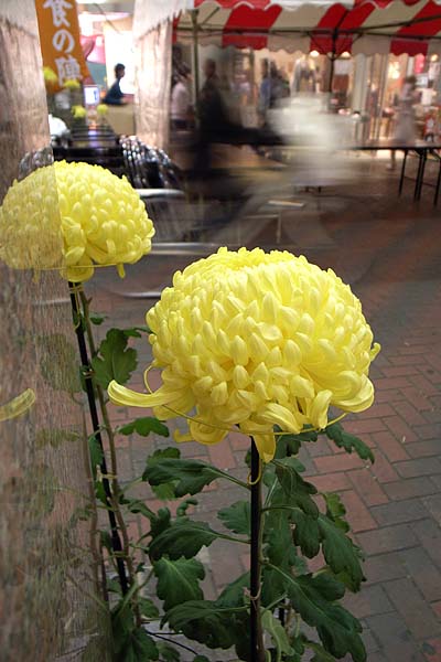e0082981_2137078.jpg
