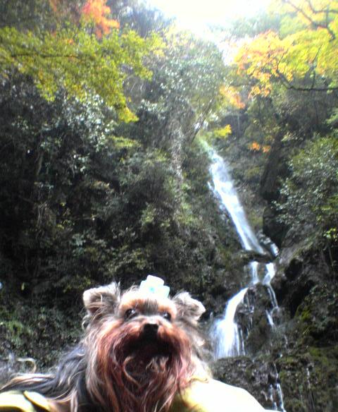 c0031582_8433549.jpg