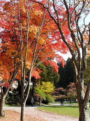 f0092382_1303598.jpg