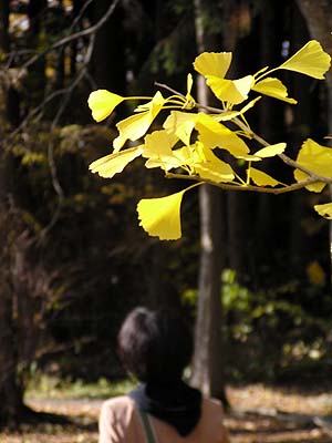 f0092382_1311491.jpg
