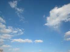 a0062983_15132585.jpg