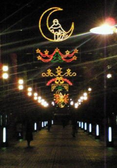 c0014187_23134715.jpg