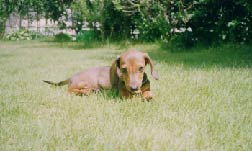e0075089_12451580.jpg