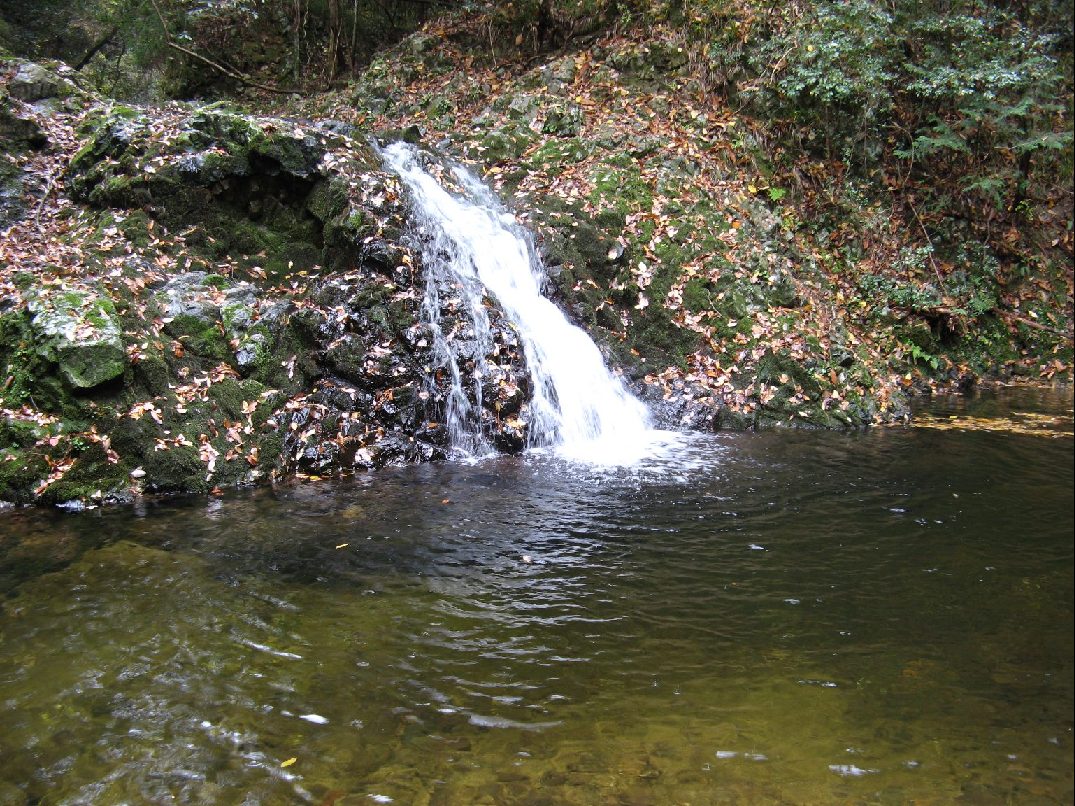 b0092694_23441341.jpg