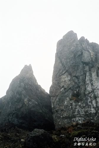 d0004296_252675.jpg