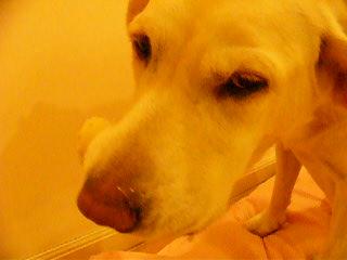 a0039299_2248567.jpg
