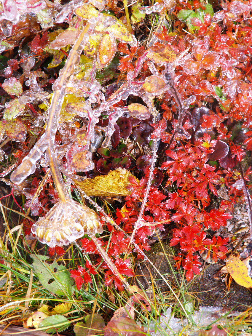 d0020300_205426.jpg